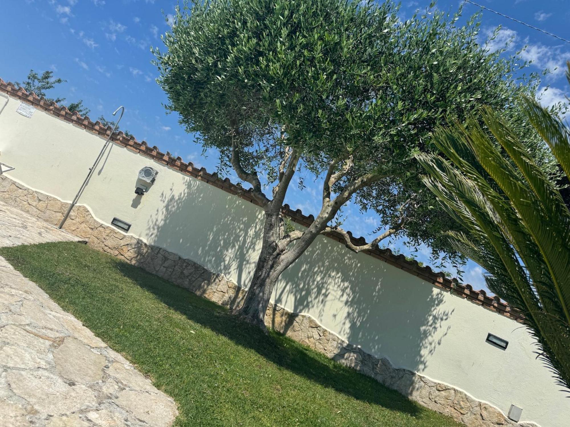Gold House Luxury Anzio Villa Buitenkant foto